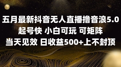 2025五月最新无人直播撸音浪单日产出5张+实操教程【揭秘】-4158创业网