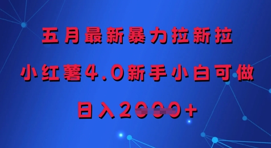 五月最新暴力拉新拉，小红薯4.0新手小白可做，日入多张-4158创业网