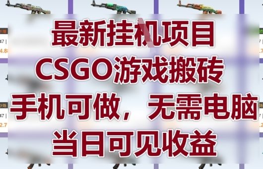 最新挂G项目，CSGO游戏搬砖，手机可做，无需电脑，当日见收益【揭秘】-4158创业网