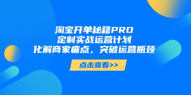 淘宝开单秘籍PRO，定制实战运营计划，化解商家痛点，突破运营瓶颈-4158创业网