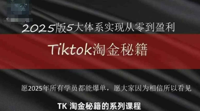 TikTok跨境2025淘金秘籍，​2025TikTok从0到盈利变现-4158创业网