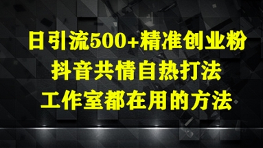 日引流500+精准创业粉，抖音共情自热打法，工作室都在用的方法-4158创业网