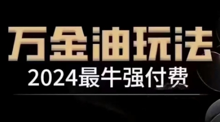 2024最牛强付费，万金油强付费玩法，干货满满，全程实操起飞(更新25年04月)-4158创业网