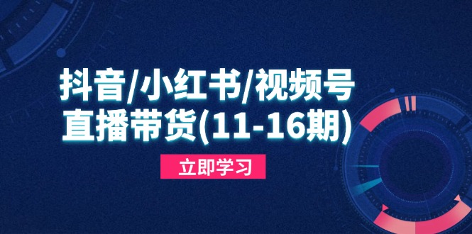 抖音/小红书/视频号/直播带货(11-16期-4158创业网