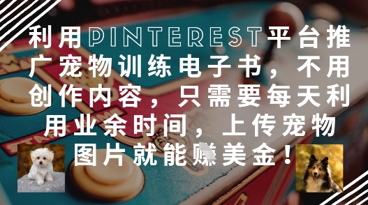 利用Pinterest平台推广宠物训练电子书，不用创作内容，只需要每天利用业余时间，上传宠物图片就能挣美金!-4158创业网