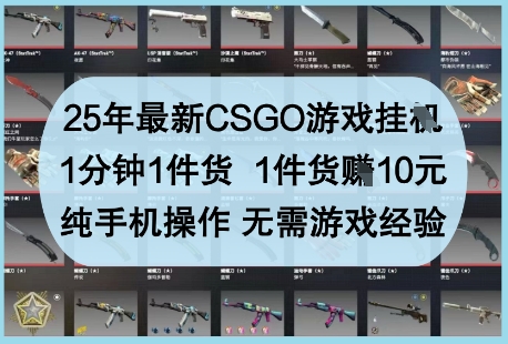 25年最新CSGO游戏挂G，1分钟1件货，1件货挣10元，纯手机操作，无需游戏经验【揭秘】-4158创业网