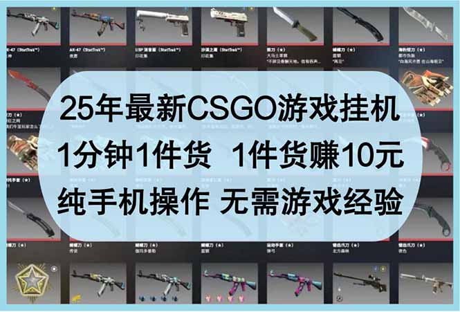 25年最新CSGO游戏挂机，1分钟1件货，1件货赚10元 纯手机操作 无需游戏经验-4158创业网