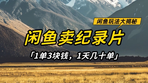 闲鱼卖纪录片1单3块钱，1天几十单，项目稳定有潜力-4158创业网
