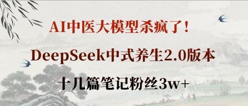 AI中医大模型杀疯了！DeepSeek中式养生2.0版本，十几篇笔记粉丝3w+-4158创业网