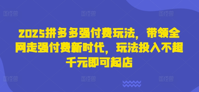 2025拼多多强付费玩法，带领全网走强付费新时代，玩法投入不超千元即可起店-4158创业网