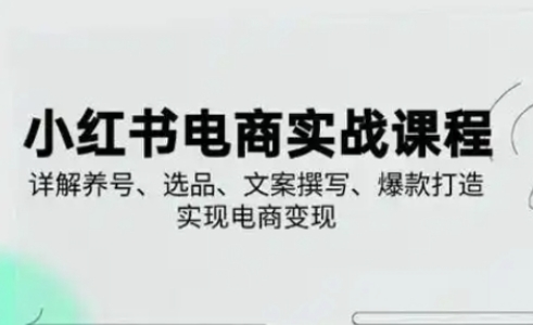 小红书从0-1实操课(2023-2025)，详解养号、选品、文案撰写、爆款打造实现电商变现-4158创业网