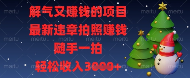 解气又挣钱的项目，最新违章拍照挣钱，随手一拍，轻松收入数张【揭秘】-4158创业网