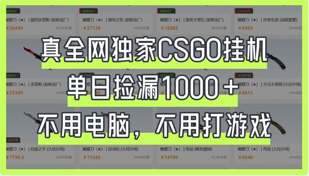 真全网独家CSGO挂机，单日捡漏1000+，不用电脑，不用养号-4158创业网