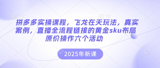 拼多多实操课程，飞龙在天玩法，真实案例，直播全流程链接的黄金sku布局原价操作六个活动-4158创业网