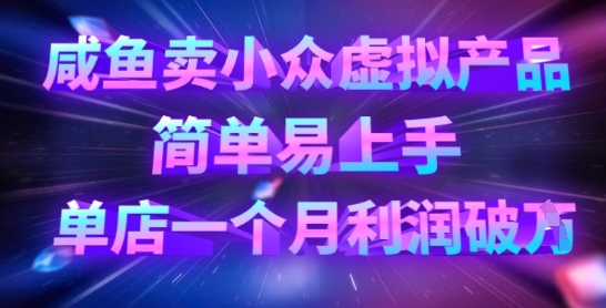 咸鱼卖小众虚拟产品，简单易上手，单店一个月利润破W-4158创业网