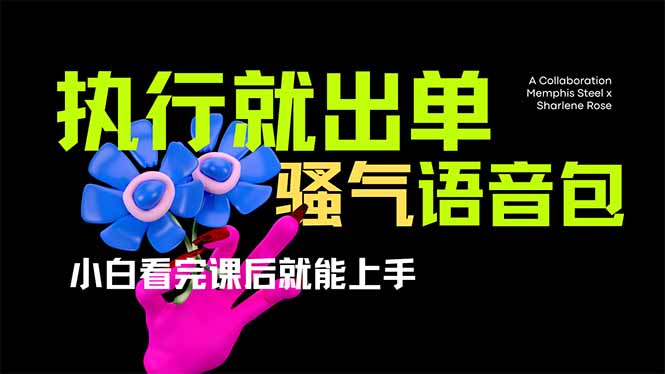 爆火全网的开车导航骚气语音包,只要执行就出单，小白看完课程就能实操…-4158创业网
