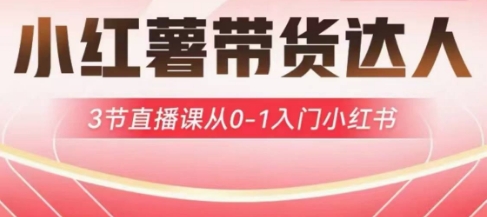 小红薯达人带货启航计划，3节直播课从0-1入门小红书-4158创业网