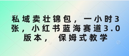 私域卖壮锦包，一小时3张，小红书蓝海赛道3.0版本， 保姆式教学-4158创业网