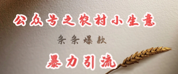 deepseek写农村小项目，条条爆款，暴力引流-4158创业网