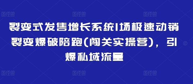 裂变式发售增长系统1场极速动销裂变爆破陪跑(闯关实操营)，引爆私域流量-4158创业网