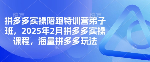拼多多实操陪跑特训营弟子班，2025年2月拼多多实操课程，海量拼多多玩法-4158创业网