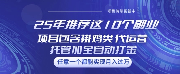 25年推荐这10个副业项目包含褂鸡类、代运营托管类、全自动打金类【揭秘】-4158创业网