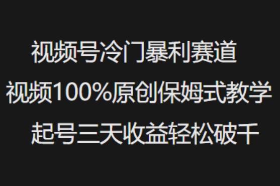 视频号冷门暴利赛道视频100%原创保姆式教学起号三天收益轻松破千-4158创业网