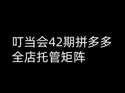 叮当会拼多多打爆班原创高阶技术第42期，拼多多全店托管矩阵-4158创业网