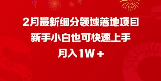 2月最新细分领域落地项目，新手小白也可快速上手，月入1W-4158创业网