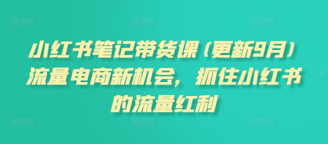 小红书笔记带货课(更新25年2月)流量电商新机会，抓住小红书的流量红利-4158创业网