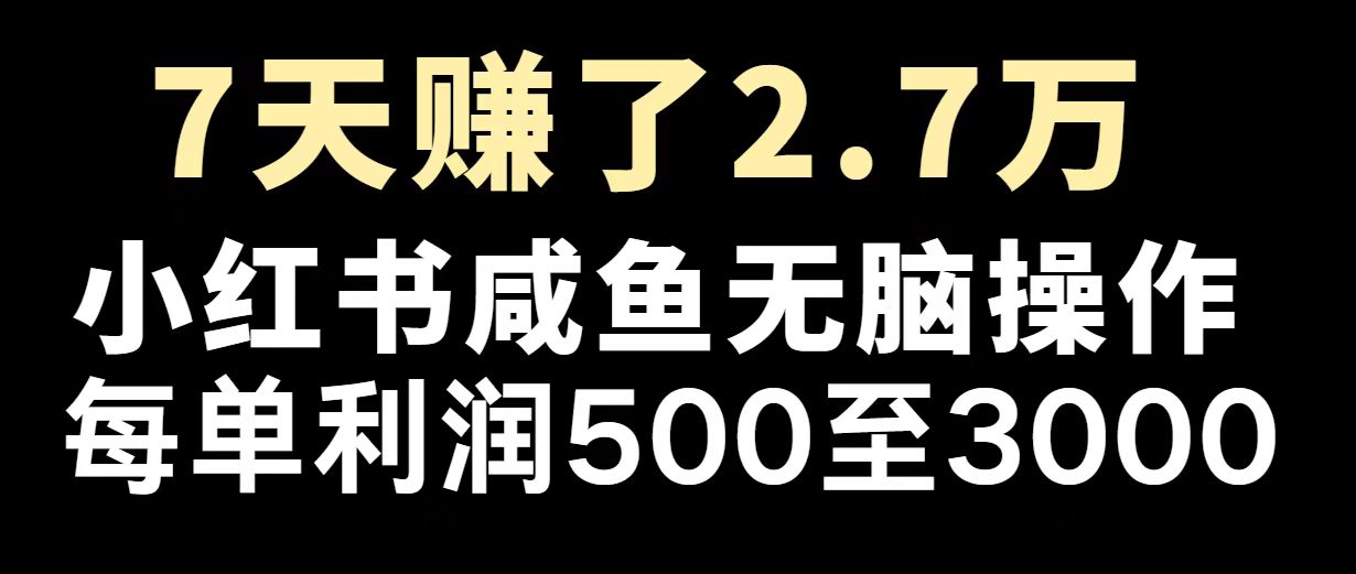 最赚钱项目之一，2025爆火，逆风翻盘！-4158创业网