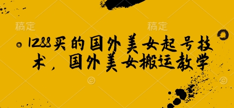 1288买的国外美女起号技术，国外美女搬运教学-4158创业网