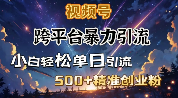 跨平台暴力引流，私域完美闭环，日引500+精准创业粉-4158创业网