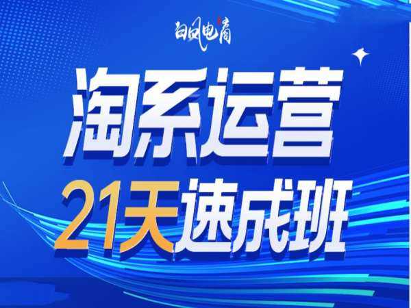 淘系运营21天速成班35期，年前最后一波和2025方向-4158创业网