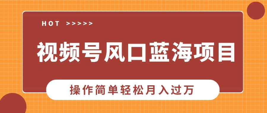 （13945期）视频号风口蓝海项目，中老年人的流量密码，操作简单轻松月入过万-4158创业网