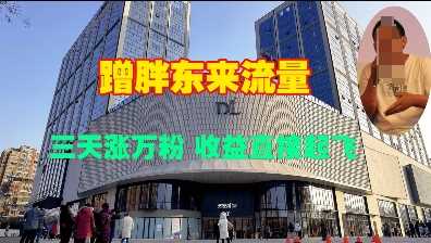 蹭胖东来流量，三天涨万粉，收益直接起飞-4158创业网