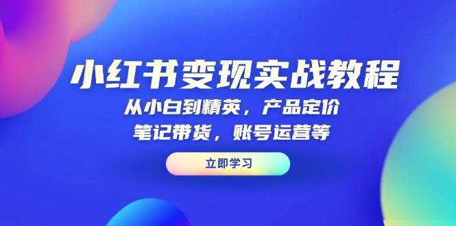 （13923期）小红书变现实战教程：从小白到精英，产品定价，笔记带货，账号运营等-4158创业网