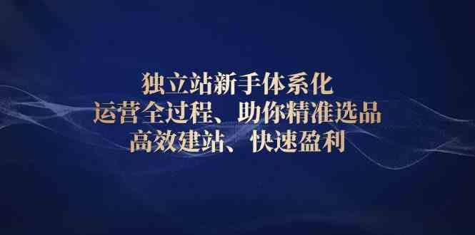 独立站新手体系化 运营全过程，助你精准选品、高效建站、快速盈利-4158创业网