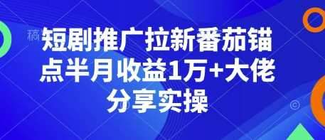 短剧推广拉新番茄锚点半月收益1万+大佬分享实操-4158创业网