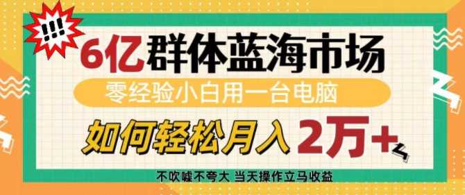6亿群体蓝海市场，零经验小白用一台电脑，如何轻松月入过w【揭秘】-4158创业网