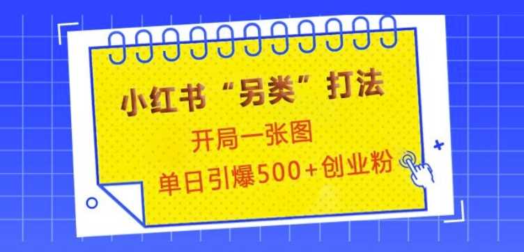 小红书“另类”打法，开局一张图，单日引爆500+精准创业粉【揭秘】-4158创业网