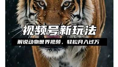 利用动物世界解说视频，赚分成计划收益，轻松月入过W，操作简单【揭秘】-4158创业网
