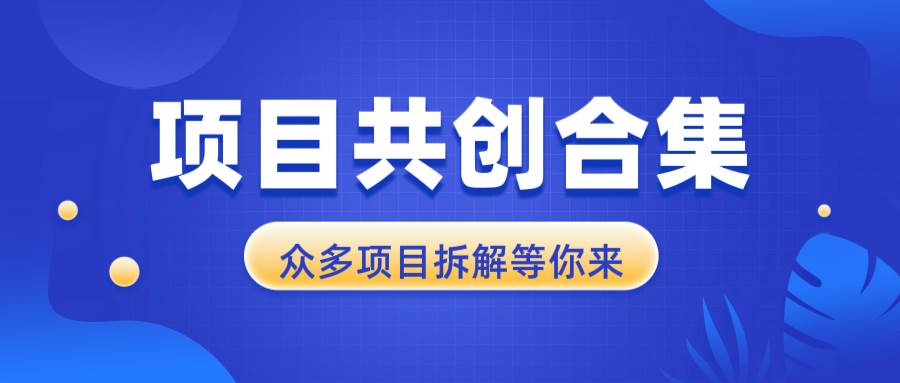 （13778期）项目共创合集，从0-1全过程拆解，让你迅速找到适合自已的项目-4158创业网
