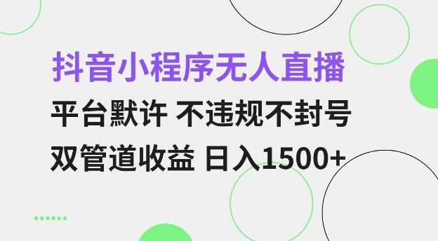 抖音小程序无人直播 平台默许 不违规不封号 双管道收益 日入多张 小白也能轻松操作【仅揭秘】-4158创业网