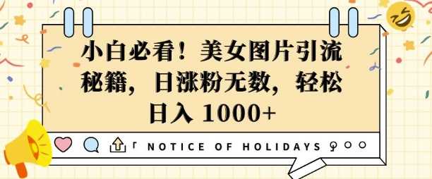 小白必看，美女图片引流秘籍，日涨粉无数，轻松日入几张【揭秘】-4158创业网