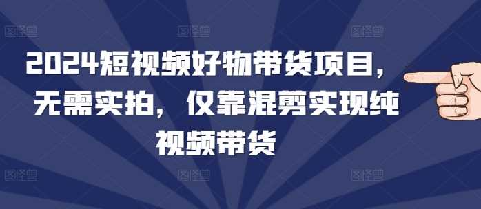 2024短视频好物带货项目，无需实拍，仅靠混剪实现纯视频带货-4158创业网