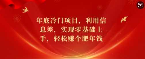 年底冷门项目，利用信息差，实现零基础上手，轻松赚个肥年钱【揭秘】-4158创业网