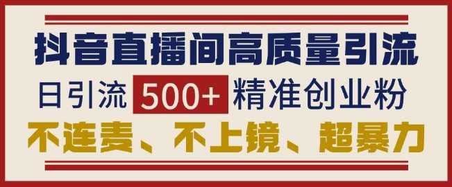 抖音直播间引流创业粉，无需连麦、不用上镜、超暴力，日引流500+高质量精准创业粉-4158创业网