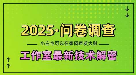 2025问卷调查最新工作室技术解密：一个人在家也可以闷声发大财，小白一天2张，可矩阵放大【揭秘】-4158创业网