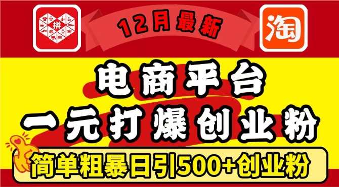 12月最新：电商平台1元打爆创业粉，简单粗暴日引500+精准创业粉，轻松月入过W【揭秘】-4158创业网